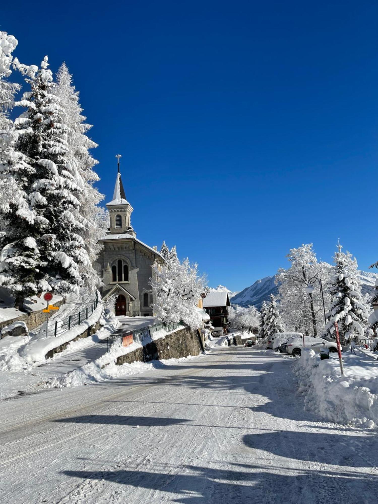 Charmant Appartement Au Vagabond Leysin Zewnętrze zdjęcie